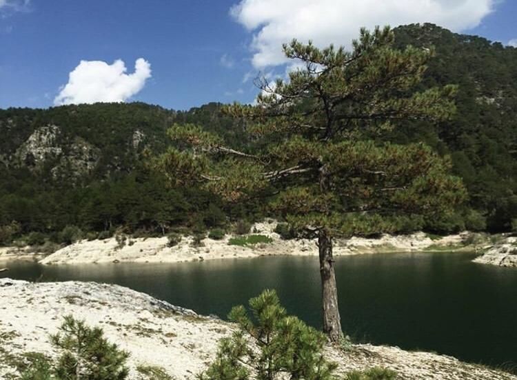 Апартаменты Village house Milašević Никшич-15