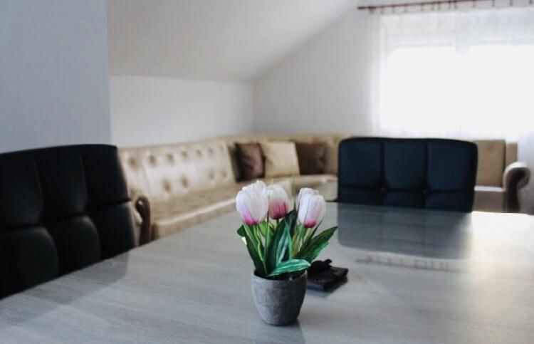 Апартаменты Village house Milašević Никшич-21