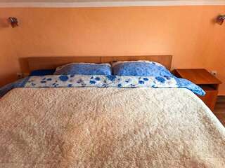 Апартаменты Village house Milašević Никшич-1