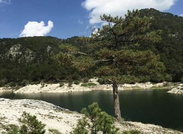 Апартаменты Village house Milašević Никшич-14